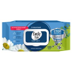Emily Style Вл.Салфетки 120шт АНТИБАКТЕРИАЛЬНЫЕ с клап эмили стайл эксе, шт