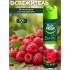 Master FRESH Осв.300мл Малиновое Наслаждение мастер фреш осв, шт