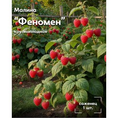 Нартия Страна МАЛИНА 1.5 л, шт