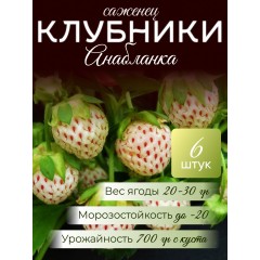 Нартия Страна КЛУБНИКА 2,0 л, шт