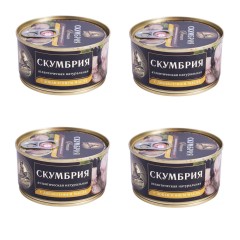 СКУМБРИЯ (филе в масле) За Родину 185гр ключ