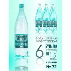 Новотерская целебная 1.5 л пэт Кавминводы, шт